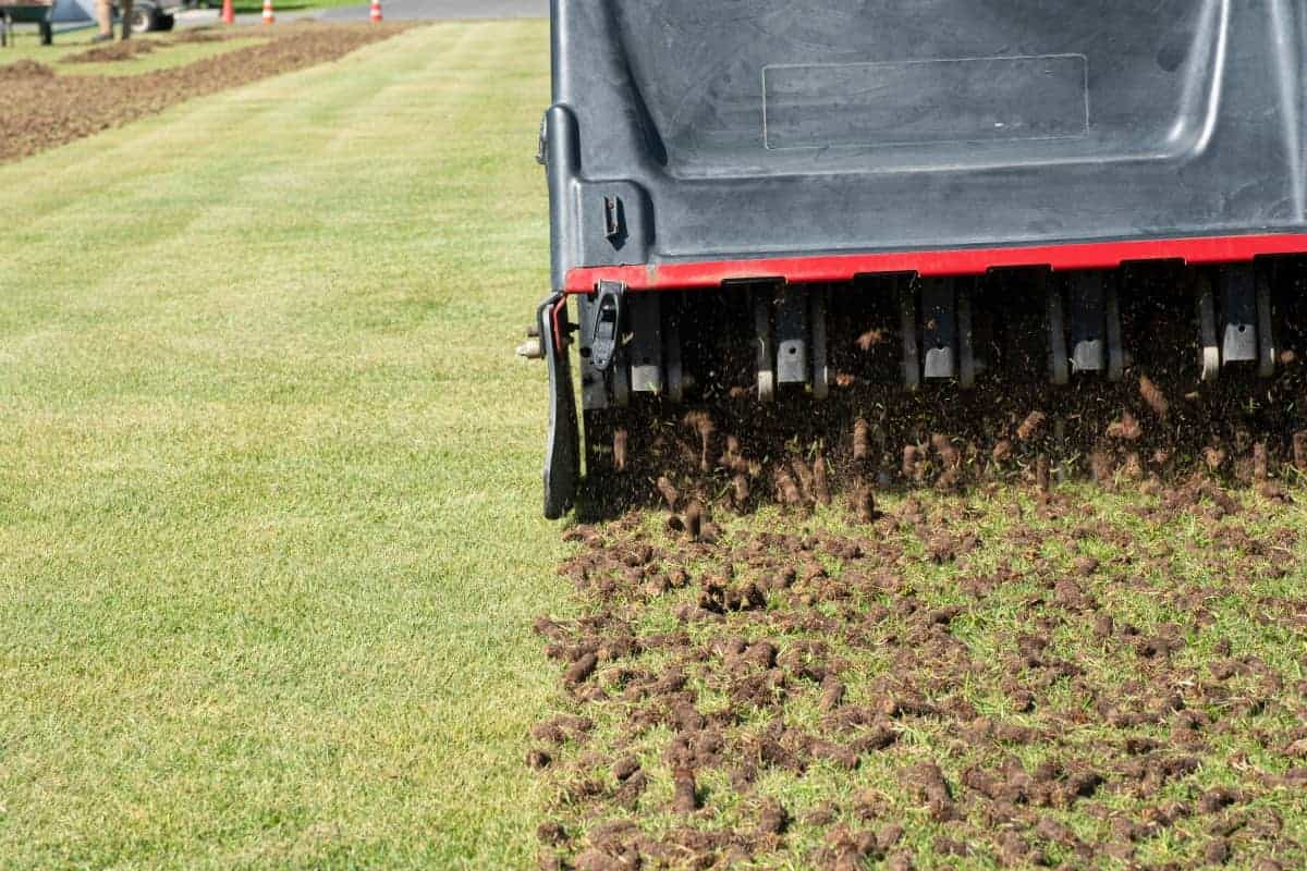 Overseed and Aeration